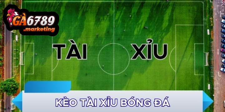 Hiểu Rõ Cơ Chế Vận Hành Và Chiến Thuật Chơi Kèo Tài Xỉu Ga6789