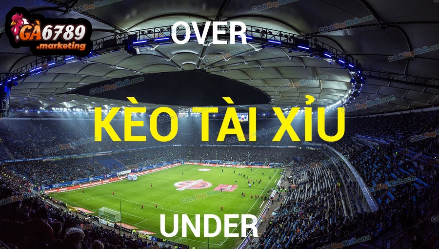 Hướng Dẫn Chi Tiết Các Mốc Kèo Tài Xỉu Ga6789 Thông Dụng Nhất