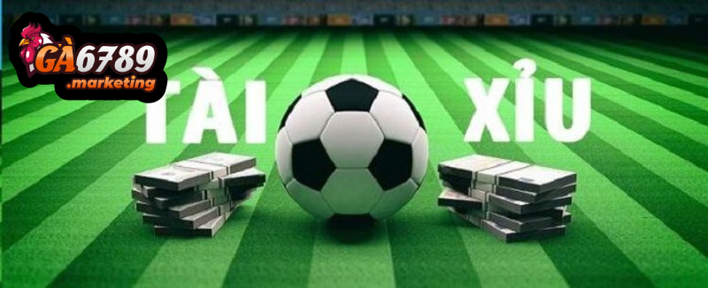Phân Loại Giải Đấu Và Bí Quyết Chọn Cửa Tài Xỉu Chuẩn Xác